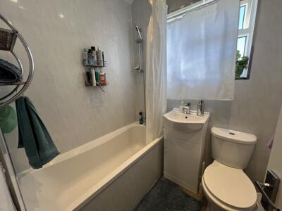 Picture 11